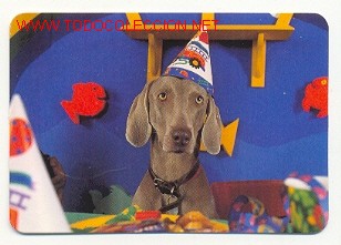 Coleccionismo calendarios: CALENDARIO PERROS (A&Ntilde;O 2000) - Foto 1