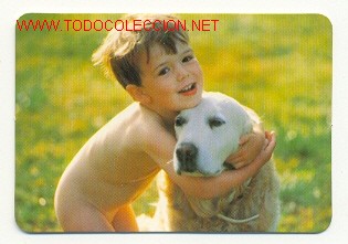 Coleccionismo calendarios: CALENDARIO PERROS (A&Ntilde;O 1998) - Foto 1