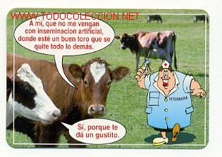 Coleccionismo calendarios: CALENDARIO ANIMALES (A&Ntilde;O 2000) - Foto 1