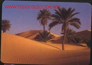 Coleccionismo calendarios: calendario publicitario-2006