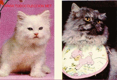 Coleccionismo Calendarios: 2 Calendarios GATOS- 1976- Reclamos Grande Madrid- V i B