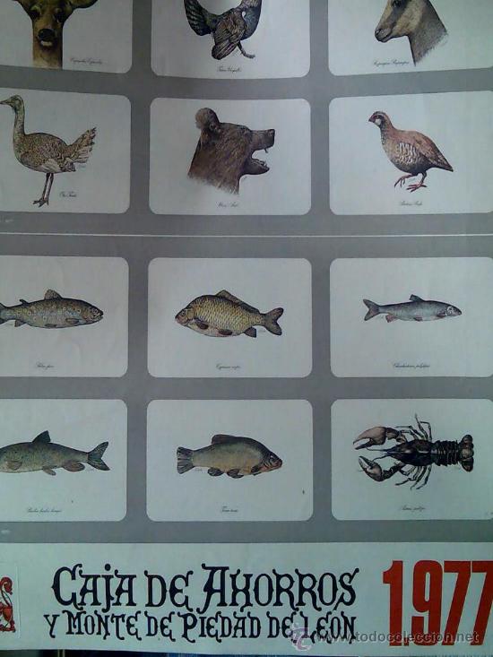 Coleccionismo Calendarios: CALENDARIO 1977 CAJA DE AHORROS Y MONTE DE PIEDAD LE&Oacute;N