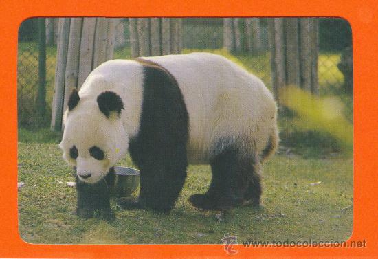 Collectionnisme Calendriers: Yuntero. 1985. Vino blanco, tinto y  Rosado. Manzanares. Ciudad Real