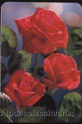 calendario tema flores 2004