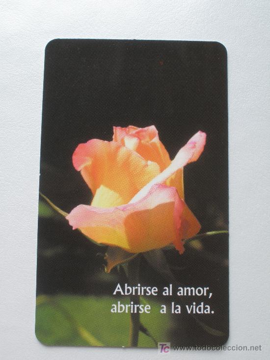 Coleccionismo Calendarios: CALENDARIO 2007 - PAULINAS