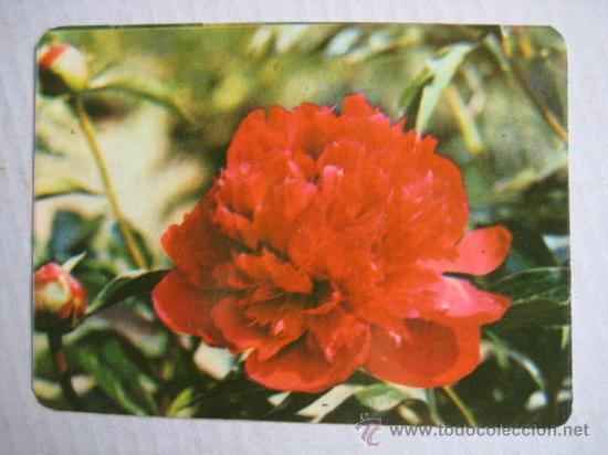 Coleccionismo Calendarios: CALENDARIO DE BOLSILLO. CHINA 1976..  ENVIO GRATIS&iexcl;&iexcl;&iexcl;