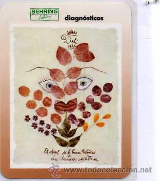 Coleccionismo Calendarios: CALENDARIO HOECHST DAL&Iacute; 1996