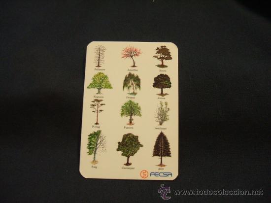 Collectables Calendars: CALENDARIO DE BOLSILLO - FECSA -1996 -