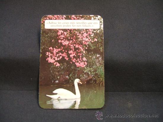 Collectionnisme Calendriers: CALENDARIO DE BOLSILLO - HOSPITAL SANT RAFAEL - 1993 -