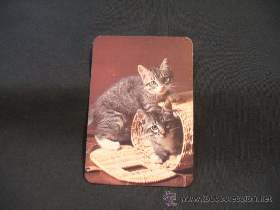Collectables Calendars: CALENDARIO DE BOLSILLO - GATOS - 1983  -