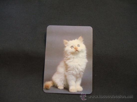 Collectables Calendars: CALENDARIO DE BOLSILLO - GATO - 1994  -