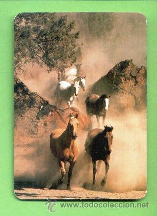 CALENDARIO 1997. CABALLO. CABALLOS.