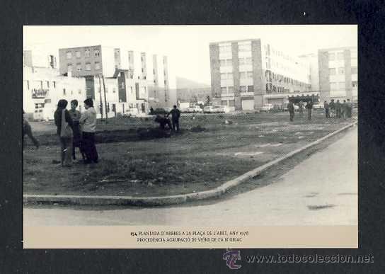 Coleccionismo calendarios: Calendario Imatges del Sabadell antic del 2008: Plantada d'arbres a la Pla&ccedil;a de l'Abet (num.154)