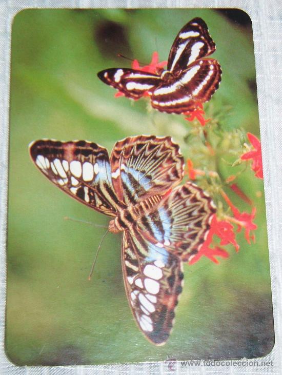 Coleccionismo calendarios: calendario coleccion mariposas 2003