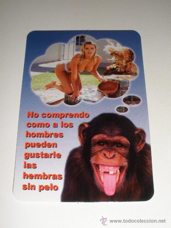 Colecionismo Calend&aacute;rios: CALENDARIO EROTICO 2010 - DESNUDO FEMENINO / HUMOR