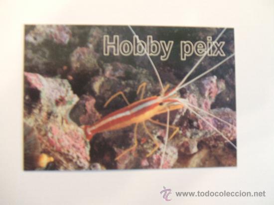 Coleccionismo Calendarios: calendario 2005 Hobby Peix