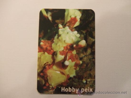 Coleccionismo Calendarios: Calendario 2010 Hobby Peix