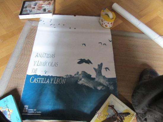 Colecionismo Calend&aacute;rios: ANATIDAS CASTILLA Y LEON,  1998, 68X46 CMS