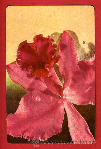 Sammeln von Kalendern: CALENDARIO PUBLICIDAD, SEGUROS VIDA WASHINTON , PLASTICO , CUBA , 1957 , ORIGINAL ,CAL6636