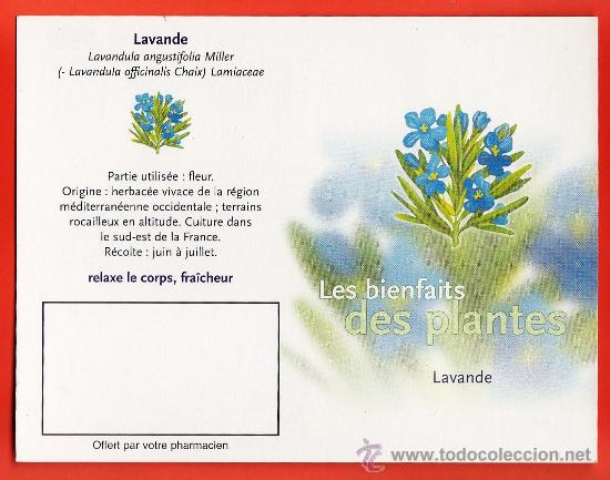 Collezionismo Calendari: calendario bolsillo frances - plantas medicinales - lavande - lavanda - diptico - a&ntilde;o 2003 - francia