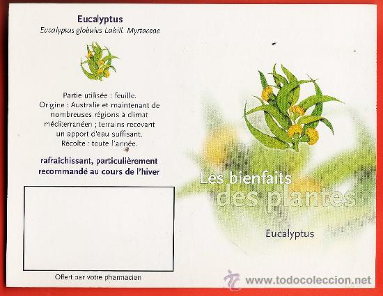 Collezionismo Calendari: calendario bolsillo frances - plantas medicinales - eucalyptus - eucalipto -diptico a&ntilde;o 2003 francia