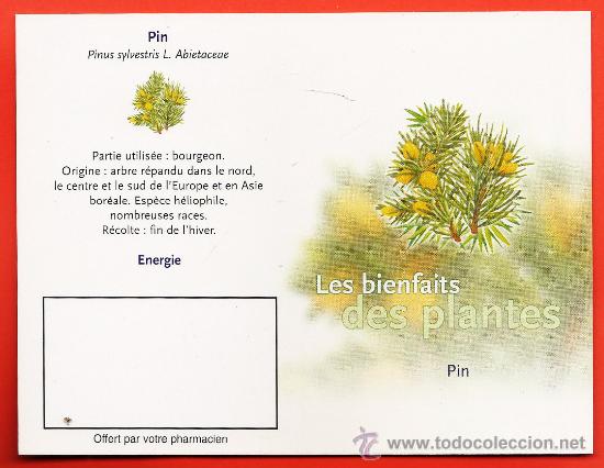 Collezionismo Calendari: calendario bolsillo frances - plantas medicinales - pin - pino - diptico - a&ntilde;o 2003 - francia