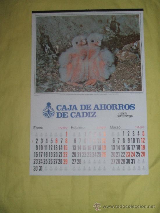 Sammeln von Kalendern: CALENDARIO DE PARED 1989 -CAJA DE AHORROS DE CADIZ