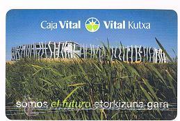 Collectionnisme Calendriers: CALENDARIO HERACLIO FOURNIER 2008 CAJA VITAL