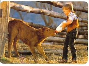 Coleccionismo Calendarios: 11-06bo582. Calendario a&ntilde;o 2006. Ni&ntilde;o y Ternero