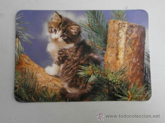 Collectionnisme Calendriers: CALENDARIO DE ANIMALES (GATOS) A&Ntilde;O 2003 CAL-4725,4