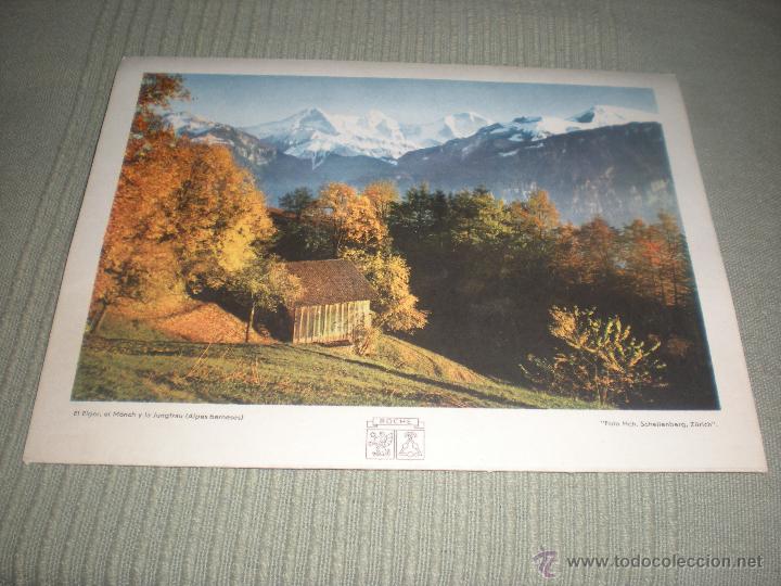 Collectionnisme Calendriers: ANTIGUO CALENDARIO DE PROPAGANDA PRODUCTOS ROCHE A&Ntilde;O 1957