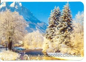 Coleccionismo Calendarios: 11-08L106. Calendario. Paisaje Nevado