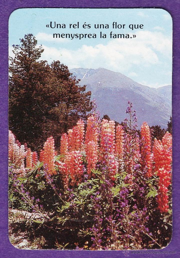 Collezionismo Calendari: calendario bolsillo - flores con frase - hospital sant rafael - barcelona - en catalan - a&ntilde;o 1993