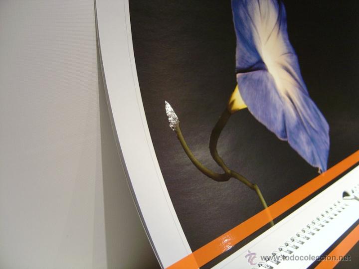 Coleccionismo calendarios: ESPECTACULAR CALENDARIO DE PARED OSRAM 2008 - Foto 4