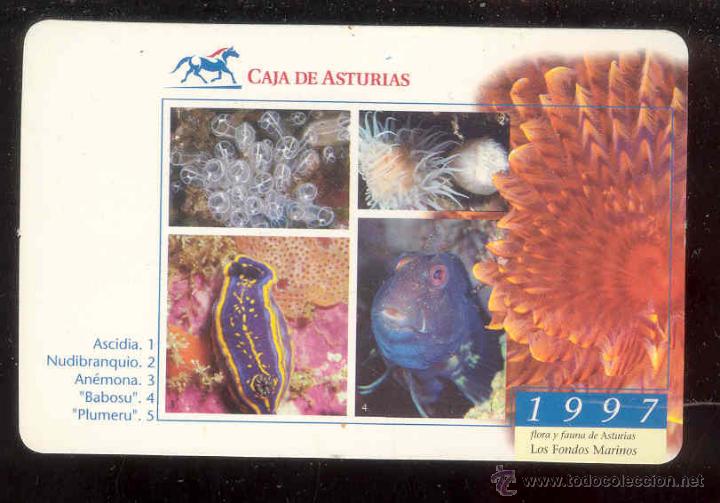Sammeln von Kalendern: CALENDARIO CAJA DE ASTURIAS 1997 -LOS FONDOS MARINOS