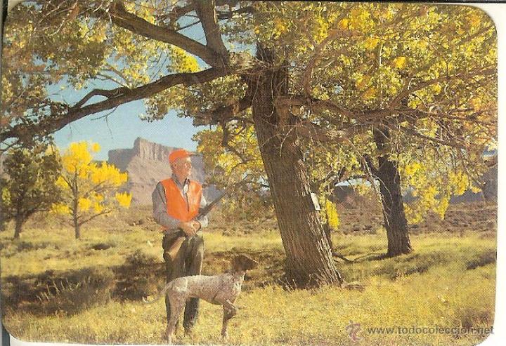 Coleccionismo Calendarios: CALENDARIO DE SERIE - 1983 - REG EMP EDIT N&ordm; 171 - FARMACIA FERR&Eacute; - AMPOSTA