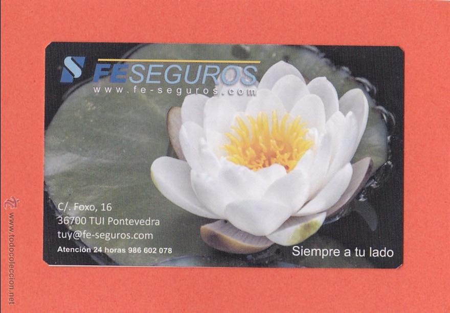 Coleccionismo Calendarios: CALENDARIO 2014 - FE SEGUROS