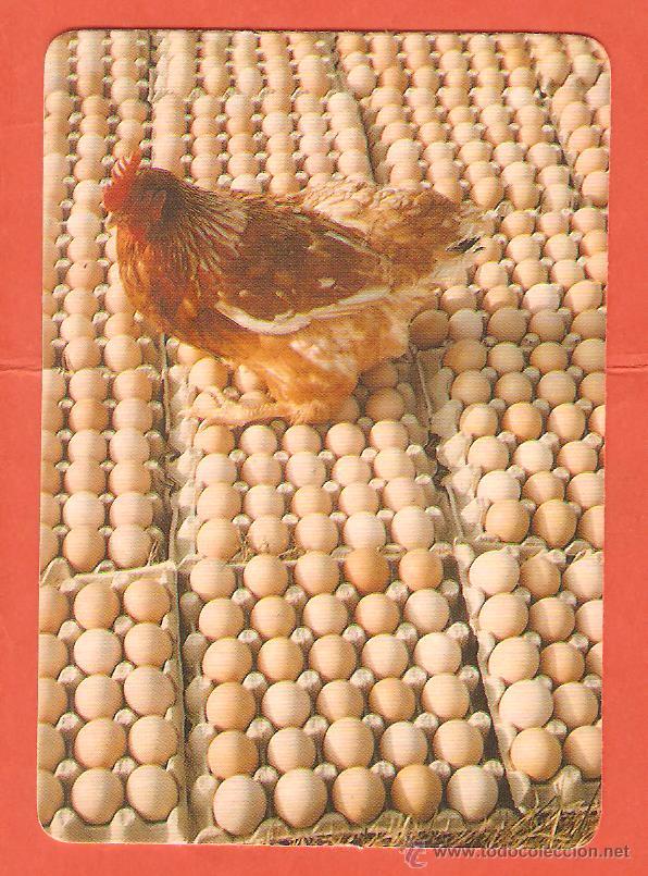 Coleccionismo calendarios: CALENDARIO DE BOLSILLO DE SERIE A&Ntilde;O 1990 MP. 7 FAUNA - GALLINA - SIN PUBLICIDAD EN REVERSO