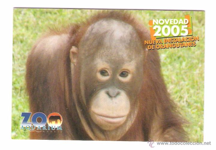 Coleccionismo Calendarios: CALENDARIO DE BOLSILLO PUBLICITARIO A&Ntilde;O 2005 FAUNA - ZOO AQUARIUM - MADRID