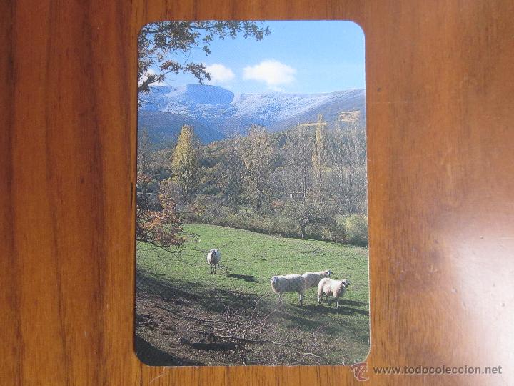 Collectionnisme Calendriers: CALENDARIO NO FOURNIER CAJA DE BURGOS DEL 2003