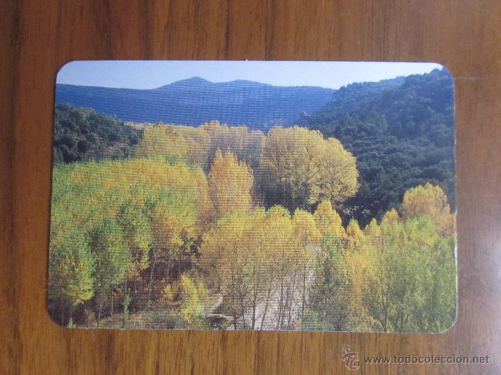 Collectionnisme Calendriers: CALENDARIO NO FOURNIER CAJA BURGOS DEL 2006