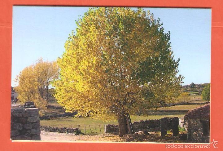 Coleccionismo Calendarios: CALENDARIO DE BOLSILLO PUBLICITARIO A&Ntilde;O 2007 - 2008 TURISMO: NAVARREDONDA DE GREDOS