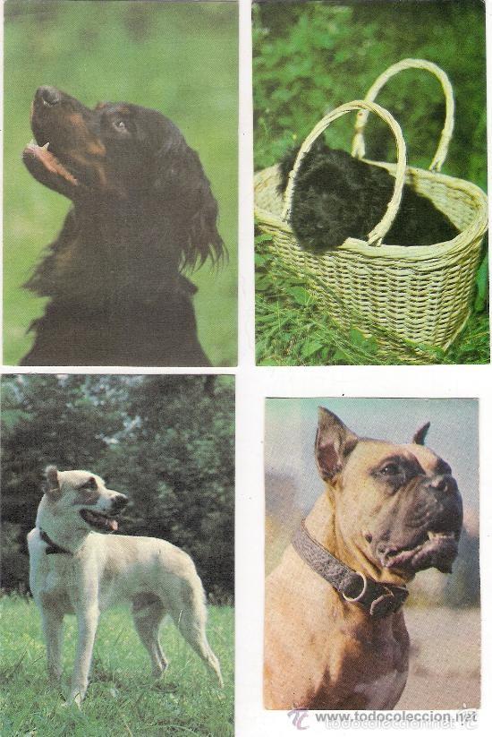 Coleccionismo Calendarios: -19136 8 CALENDARIOS PERROS, A&Ntilde;OS 1990 Y 1992, EXTRANJEROS, CON PUBLICIDAD, DISTINTAS RAZAS