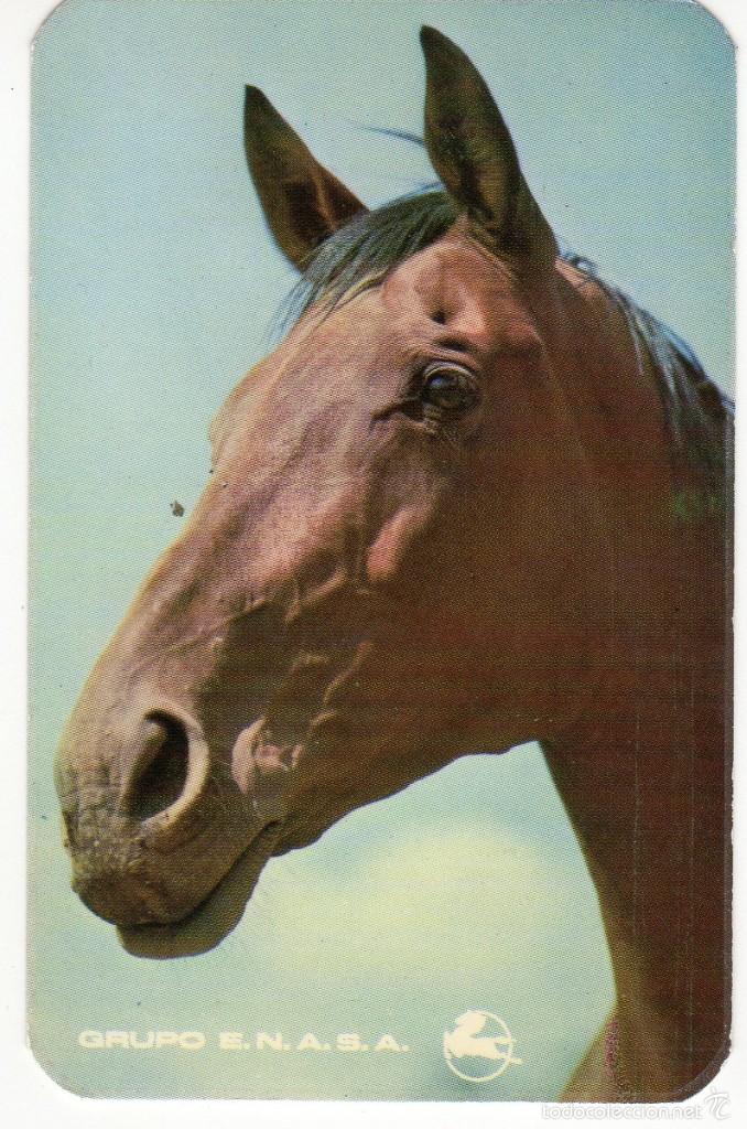 Coleccionismo calendarios: Calendario bolsillo - A&Ntilde;IO 1974 - PEGASO ENASA - animal caballo