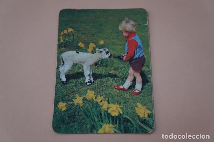 Coleccionismo calendarios: CALENDARIO DE BOLSILLO NI&Ntilde;O Y CORDERITO A&Ntilde;O 1981 LOTE 4 MIRAR FOTOS