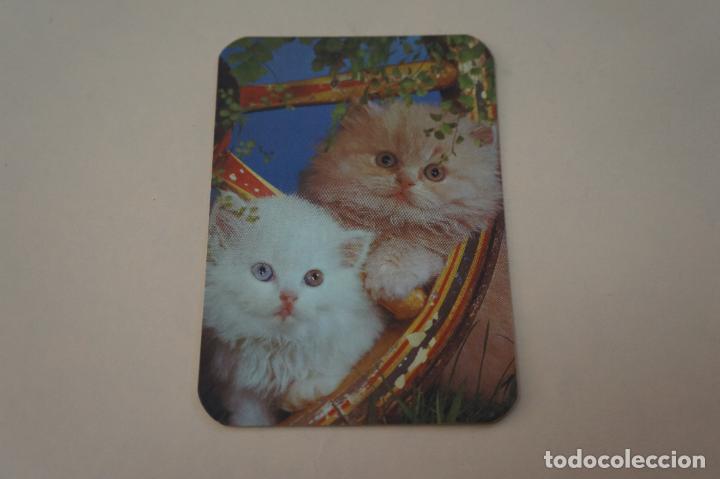 Coleccionismo calendarios: CALENDARIO DE BOLSILLO GATOS A&Ntilde;O 1984 LOTE 4 MIRAR FOTOS