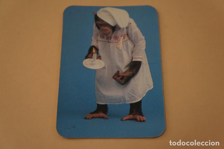 Collectables Calendars: CALENDARIO DE BOLSILLO MONO A&Ntilde;O 1988 LOTE 4 MIRAR FOTOS