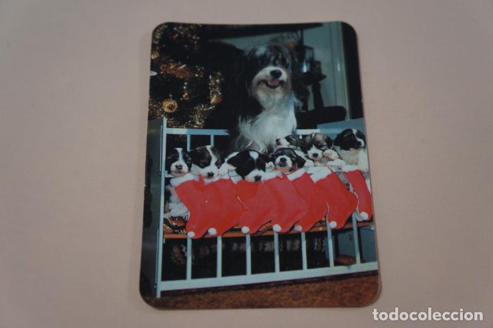 Sammeln von Kalendern: CALENDARIO DE BOLSILLO PERROS A&Ntilde;O 1991 LOTE 4 MIRAR FOTOS