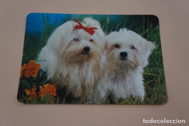Sammeln von Kalendern: CALENDARIO DE BOLSILLO PERROS A&Ntilde;O 1991 LOTE 4 MIRAR FOTOS