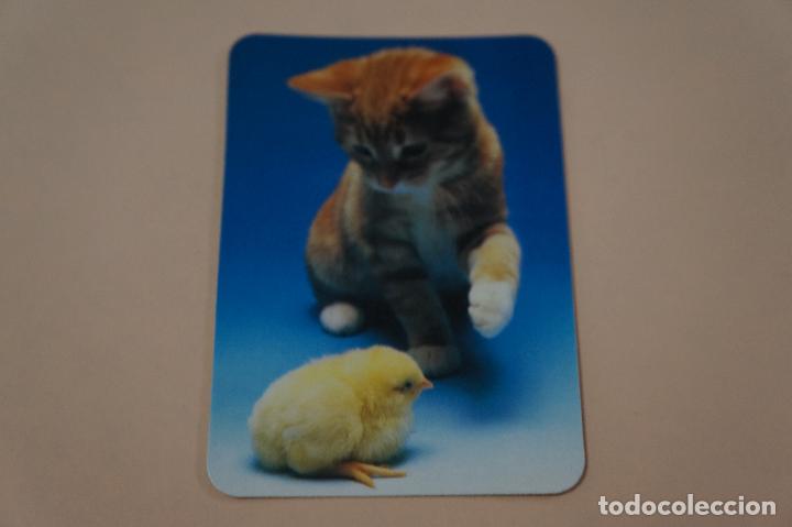 Sammeln von Kalendern: CALENDARIO DE BOLSILLO GATO Y POLLITO A&Ntilde;O 1991 LOTE 4 MIRAR FOTOS